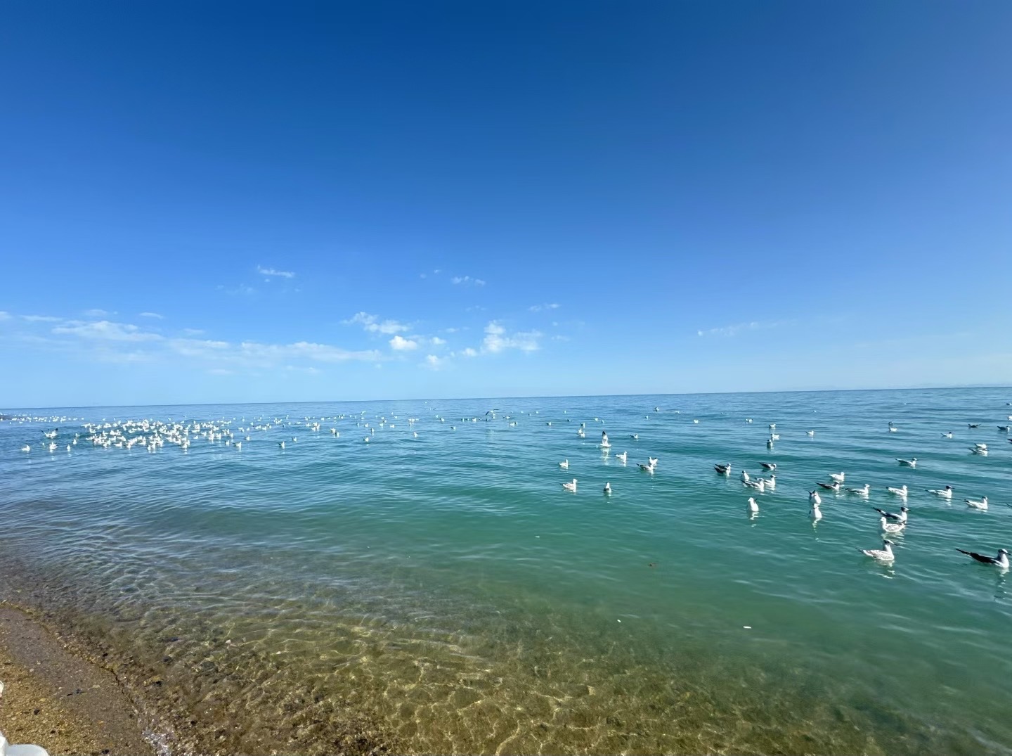 国内外知名DoH/DoT服务分享-Lordly の 社区